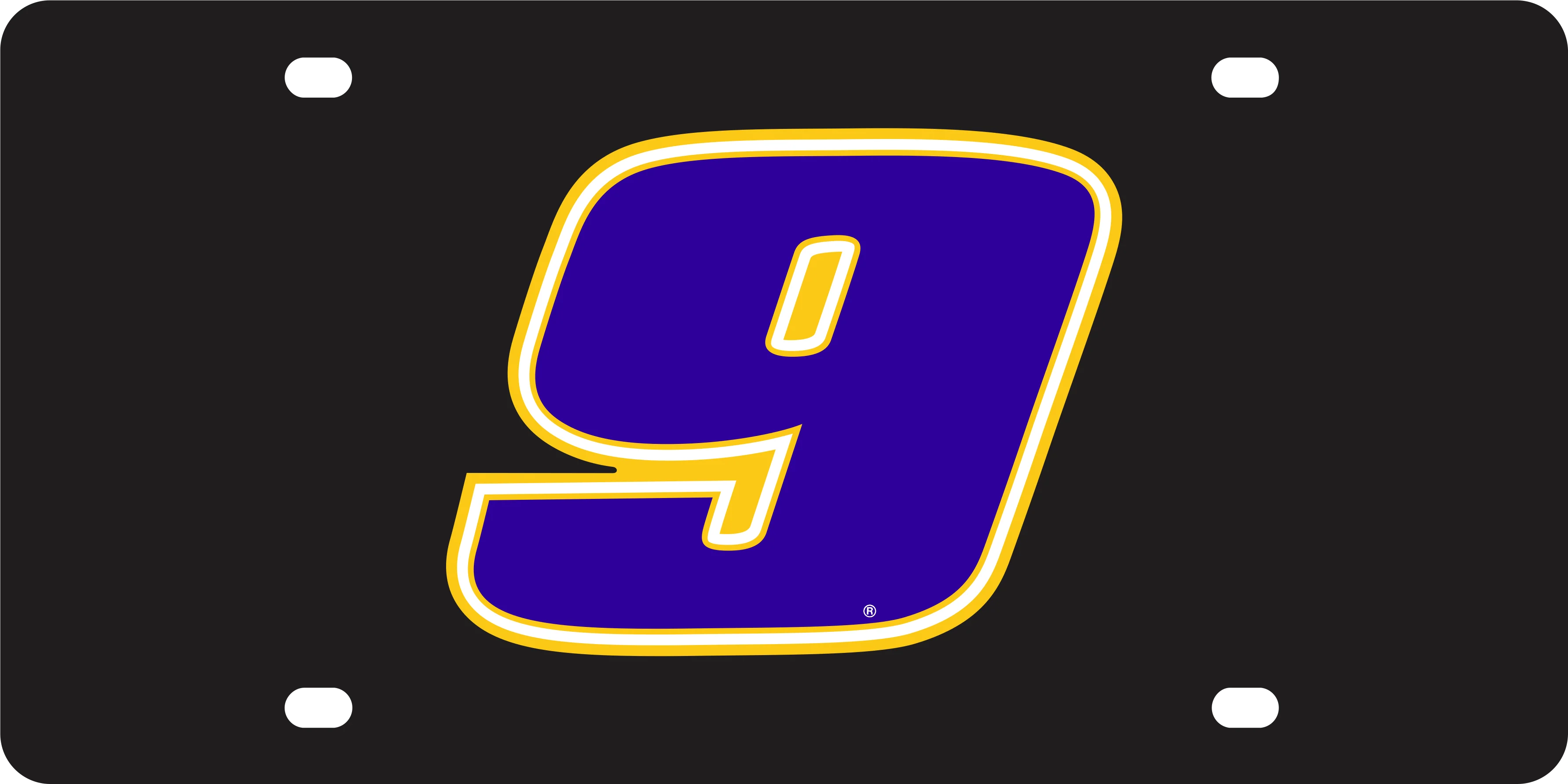Chase Elliott #9 NAPA Acrylic License Plate - Image 5